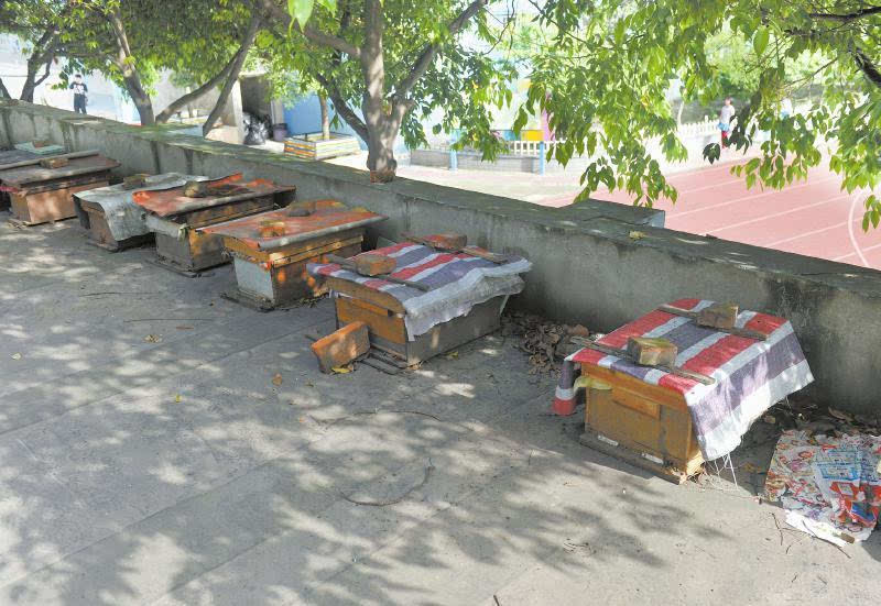 一個(gè)山區(qū)中蜂場(chǎng)最多養(yǎng)多少箱中蜂（想要養(yǎng)殖1000箱蜜蜂，需要注意哪些問(wèn)題）