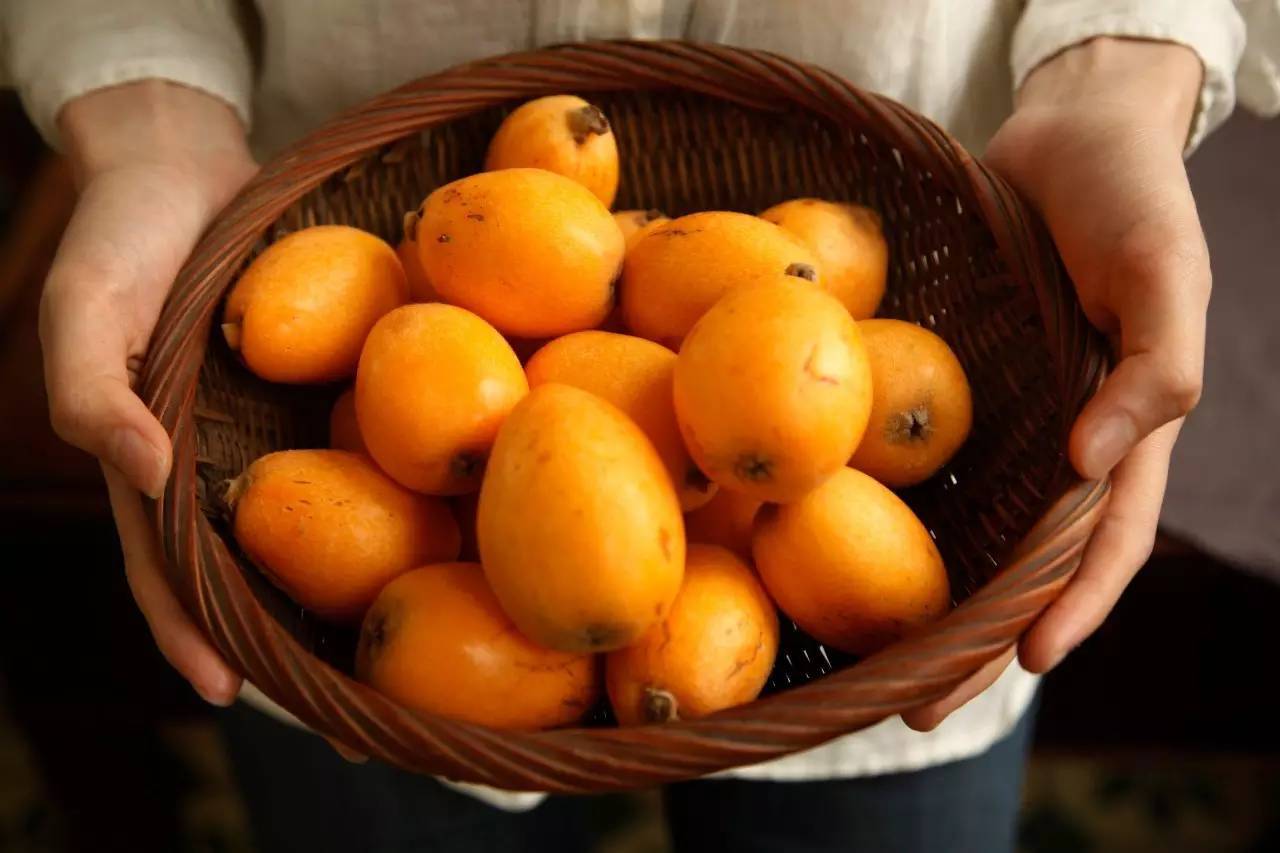 枇杷蜜可以送人嗎(蜂蜜為什么不可以送人) 枇杷蜜可以送人嗎(蜂蜜為什么不可以送人)