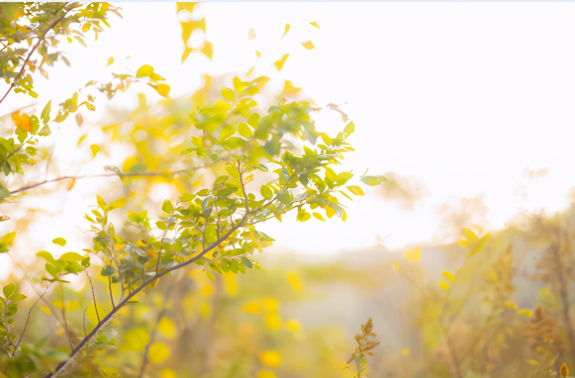 越是無(wú)人懂你，越要愛(ài)自己（沒(méi)有人會(huì)永遠(yuǎn)愛(ài)你，除了你自己）