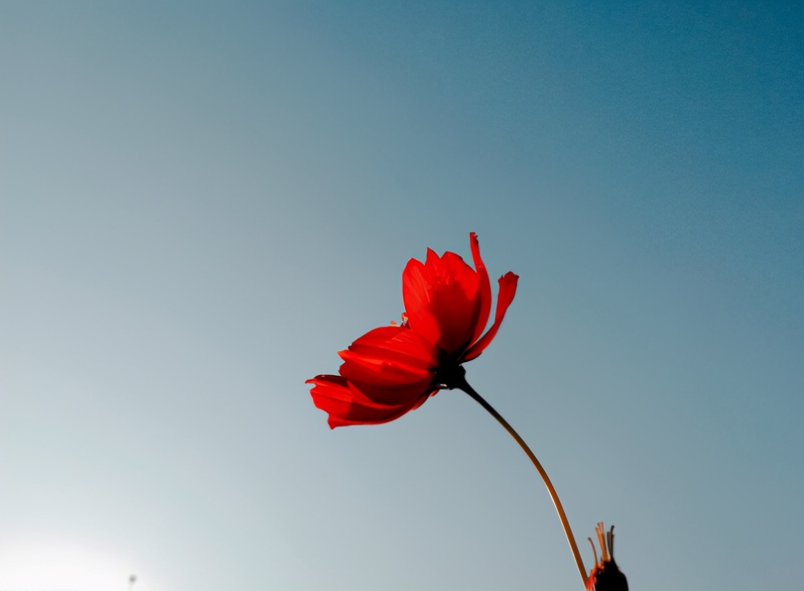 越是無(wú)人懂你，越要愛(ài)自己（沒(méi)有人會(huì)永遠(yuǎn)愛(ài)你，除了你自己）