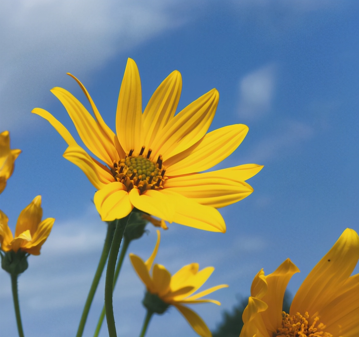 越是無(wú)人懂你，越要愛(ài)自己（沒(méi)有人會(huì)永遠(yuǎn)愛(ài)你，除了你自己）