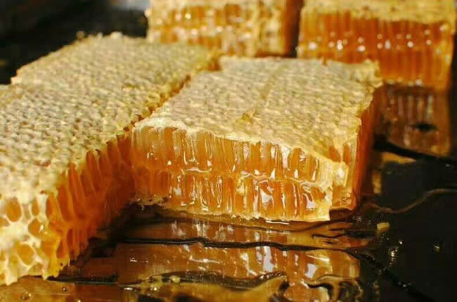 中蜂能產巢蜜嗎? 中蜂能產巢蜜