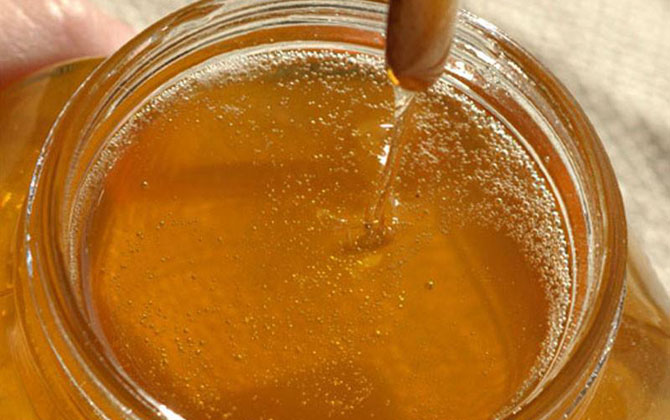 荔枝蜜花期多少天(荔枝蜜的產地分布) 荔枝蜜花期多少天(荔枝蜜的產地分布)