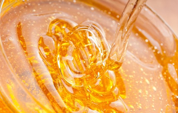 木蜂蜇人有毒嗎(木蜂會(huì)傷害人么) 木蜂蜇人有毒嗎(木蜂會(huì)傷害人么)