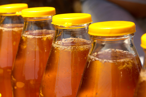 木蜂蜇人有毒嗎(木蜂會(huì)傷害人么) 木蜂蜇人有毒嗎(木蜂會(huì)傷害人么)