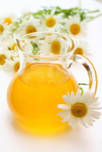 木蜂蜇人有毒嗎(木蜂會(huì)傷害人么) 木蜂蜇人有毒嗎(木蜂會(huì)傷害人么)