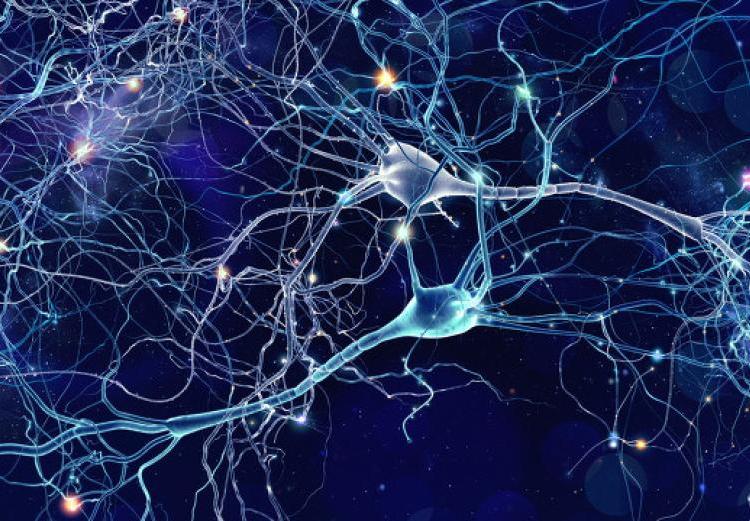 直徑5.2億光年，囊括10萬星系，拉尼亞凱亞超星系團有多可怕？