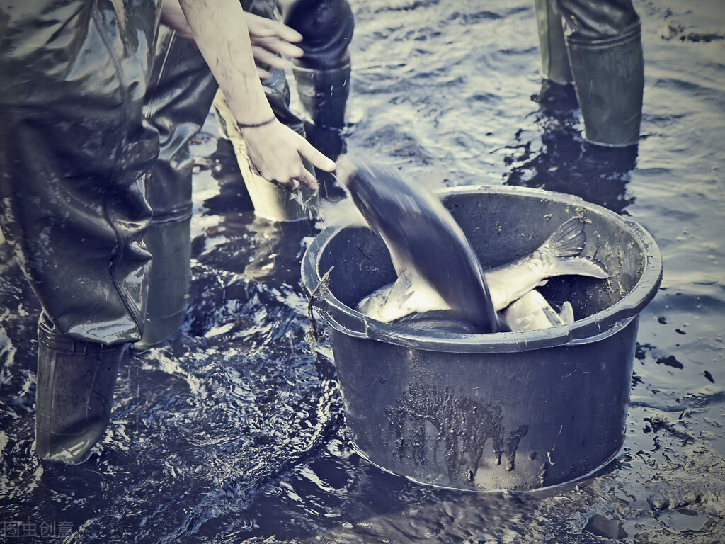 你釣魚的時候發(fā)生過什么離譜的事 釣魚人常遇到的5件“怪事”,我相信你也遇到過,我遇到好幾次