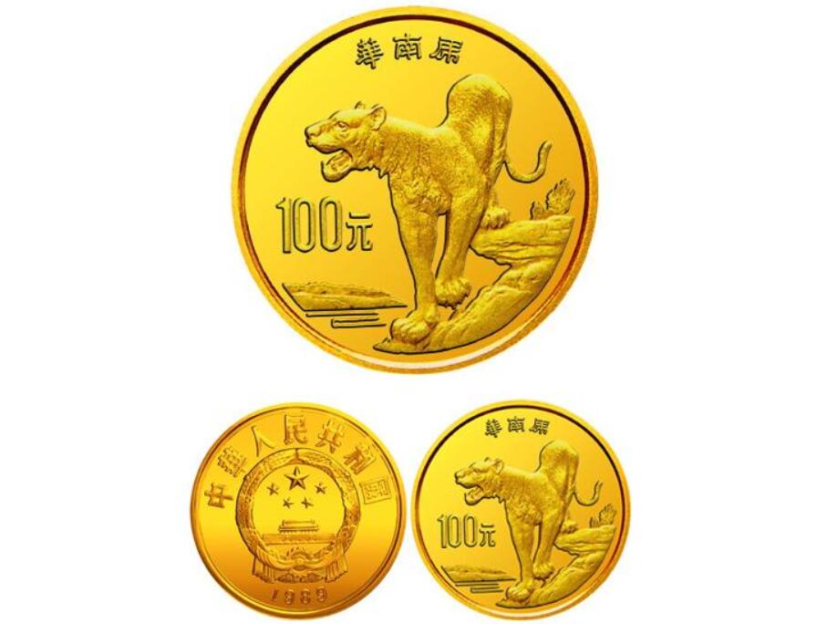 消失100多年！云南發現極危物種異葉苣苔，野生華南虎會出現嗎？