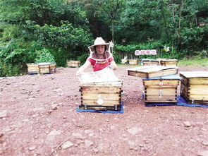 國家對養(yǎng)蜂場所建板房有新政策嗎(國家對養(yǎng)蜂地點的政策) 國家對養(yǎng)蜂場所建板房有新政策嗎(國家對養(yǎng)蜂地點的政策)