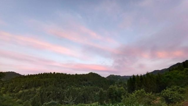 取蜜時(shí)刮蜜刀是怎么用的(取蜜的3種常用方法) 取蜜時(shí)刮蜜刀是怎么用的(取蜜的3種常用方法)