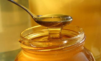 蜂王的區別(蜂王的種類)(什么是蜂王) 蜂王的區別(蜂王的種類)(什么是蜂王)