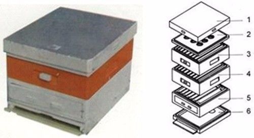 怎么看蜜蜂生病沒(蜜蜂疾病觀察診斷技術) 怎么看蜜蜂生病沒(蜜蜂疾病觀察診斷技術)