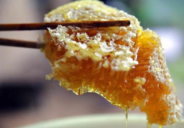 哪里有土蜂蜜(真正的正宗土蜂蜜在哪里買) 哪里有土蜂蜜(真正的正宗土蜂蜜在哪里買)