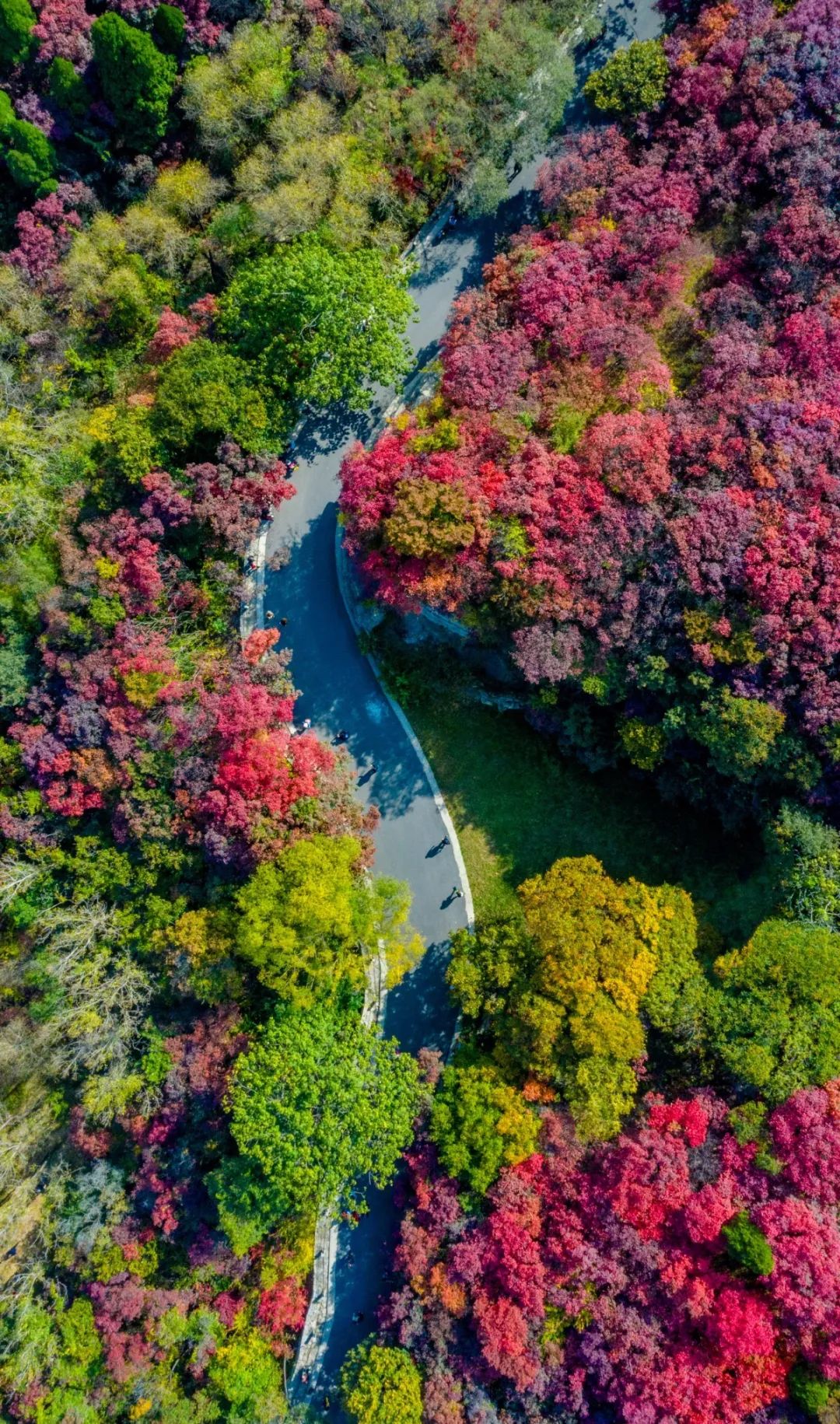 國(guó)內(nèi)有哪些海邊可以露營(yíng)看星星的地方推薦 有篝火、有星空!山東私藏的這些自駕露營(yíng)地景美人少,現(xiàn)在就出發(fā)!