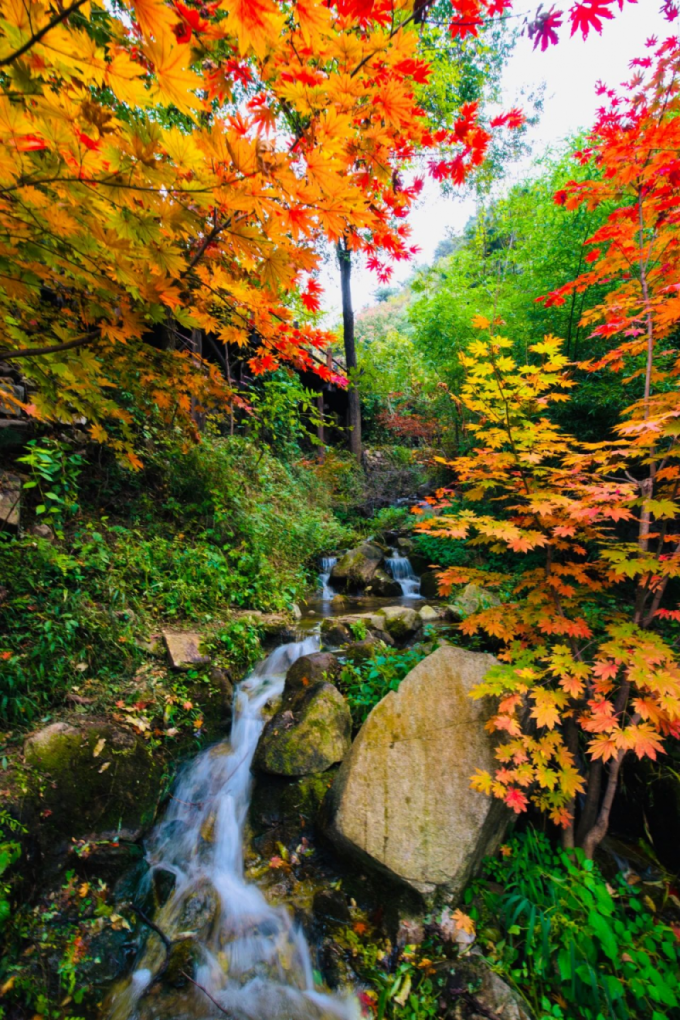 國(guó)內(nèi)有哪些海邊可以露營(yíng)看星星的地方推薦 有篝火、有星空!山東私藏的這些自駕露營(yíng)地景美人少,現(xiàn)在就出發(fā)!