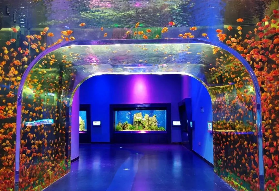 國(guó)內(nèi)有哪些海邊可以露營(yíng)看星星的地方推薦 有篝火、有星空!山東私藏的這些自駕露營(yíng)地景美人少,現(xiàn)在就出發(fā)!