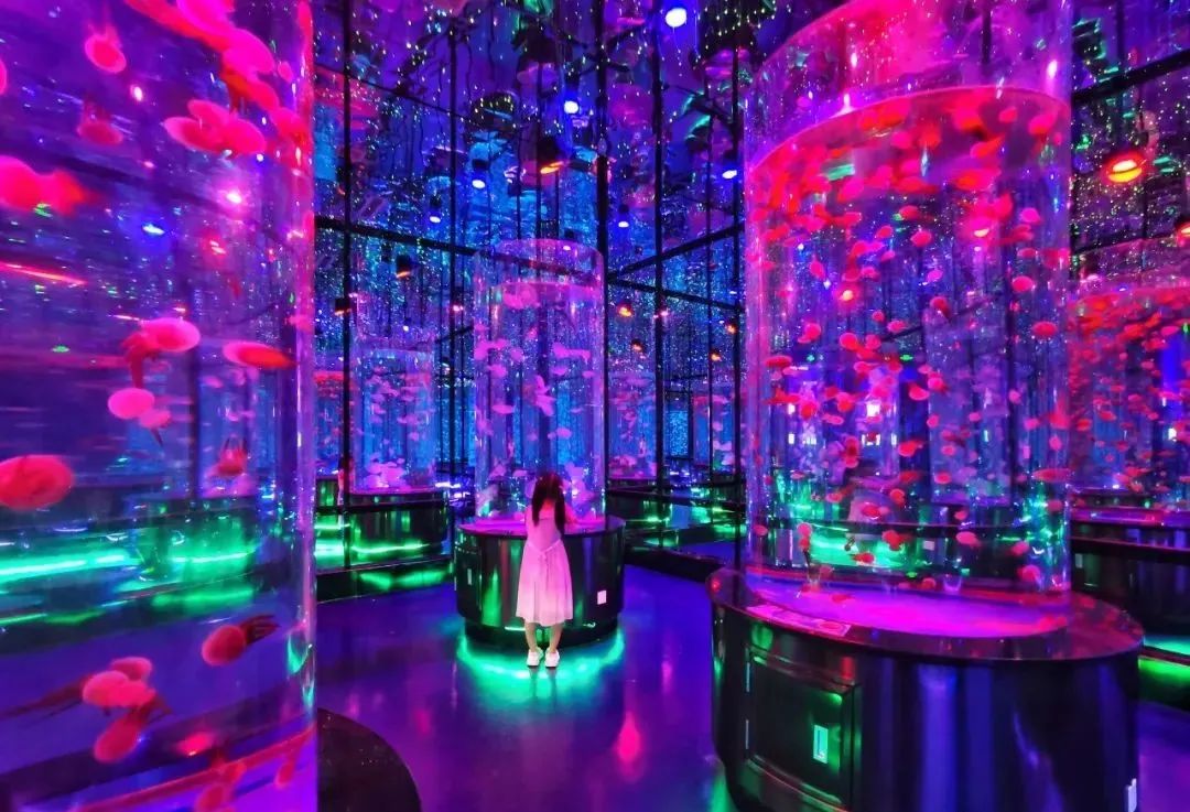 國(guó)內(nèi)有哪些海邊可以露營(yíng)看星星的地方推薦 有篝火、有星空!山東私藏的這些自駕露營(yíng)地景美人少,現(xiàn)在就出發(fā)!