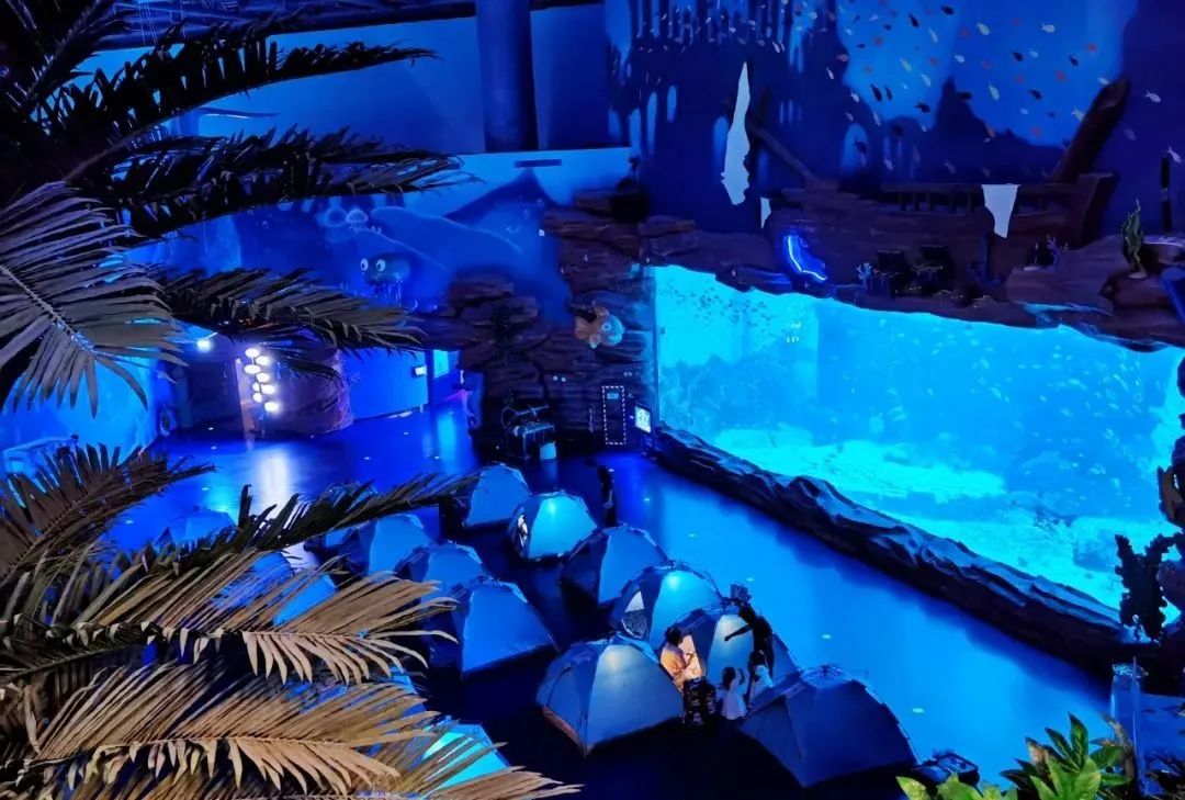 國(guó)內(nèi)有哪些海邊可以露營(yíng)看星星的地方推薦 有篝火、有星空!山東私藏的這些自駕露營(yíng)地景美人少,現(xiàn)在就出發(fā)!