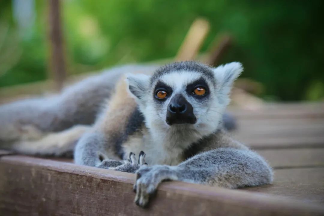 國(guó)內(nèi)有哪些海邊可以露營(yíng)看星星的地方推薦 有篝火、有星空!山東私藏的這些自駕露營(yíng)地景美人少,現(xiàn)在就出發(fā)!