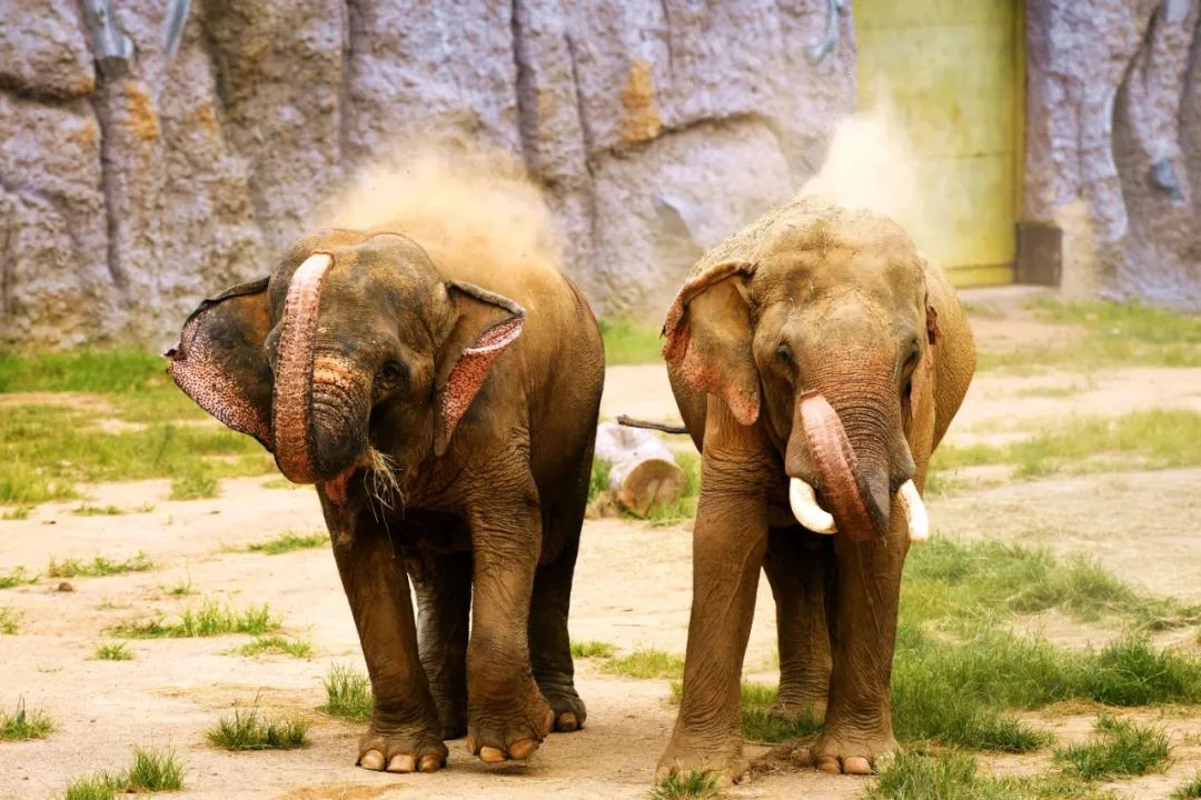 國(guó)內(nèi)有哪些海邊可以露營(yíng)看星星的地方推薦 有篝火、有星空!山東私藏的這些自駕露營(yíng)地景美人少,現(xiàn)在就出發(fā)!