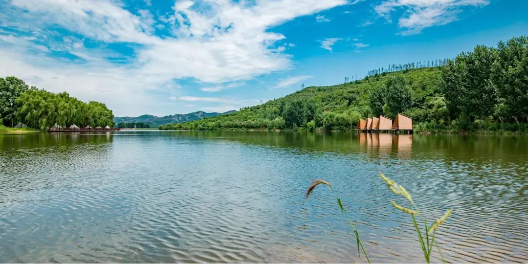 國(guó)內(nèi)有哪些海邊可以露營(yíng)看星星的地方推薦 有篝火、有星空!山東私藏的這些自駕露營(yíng)地景美人少,現(xiàn)在就出發(fā)!