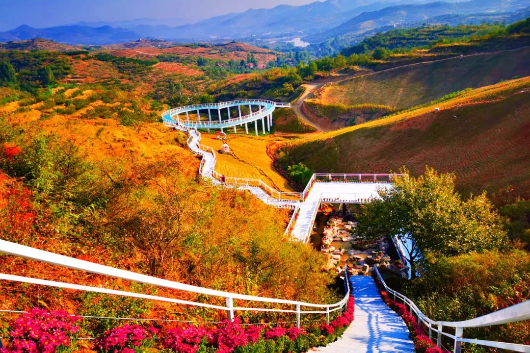 國(guó)內(nèi)有哪些海邊可以露營(yíng)看星星的地方推薦 有篝火、有星空!山東私藏的這些自駕露營(yíng)地景美人少,現(xiàn)在就出發(fā)!