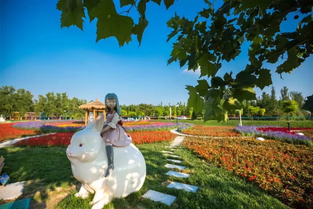 國(guó)內(nèi)有哪些海邊可以露營(yíng)看星星的地方推薦 有篝火、有星空!山東私藏的這些自駕露營(yíng)地景美人少,現(xiàn)在就出發(fā)!