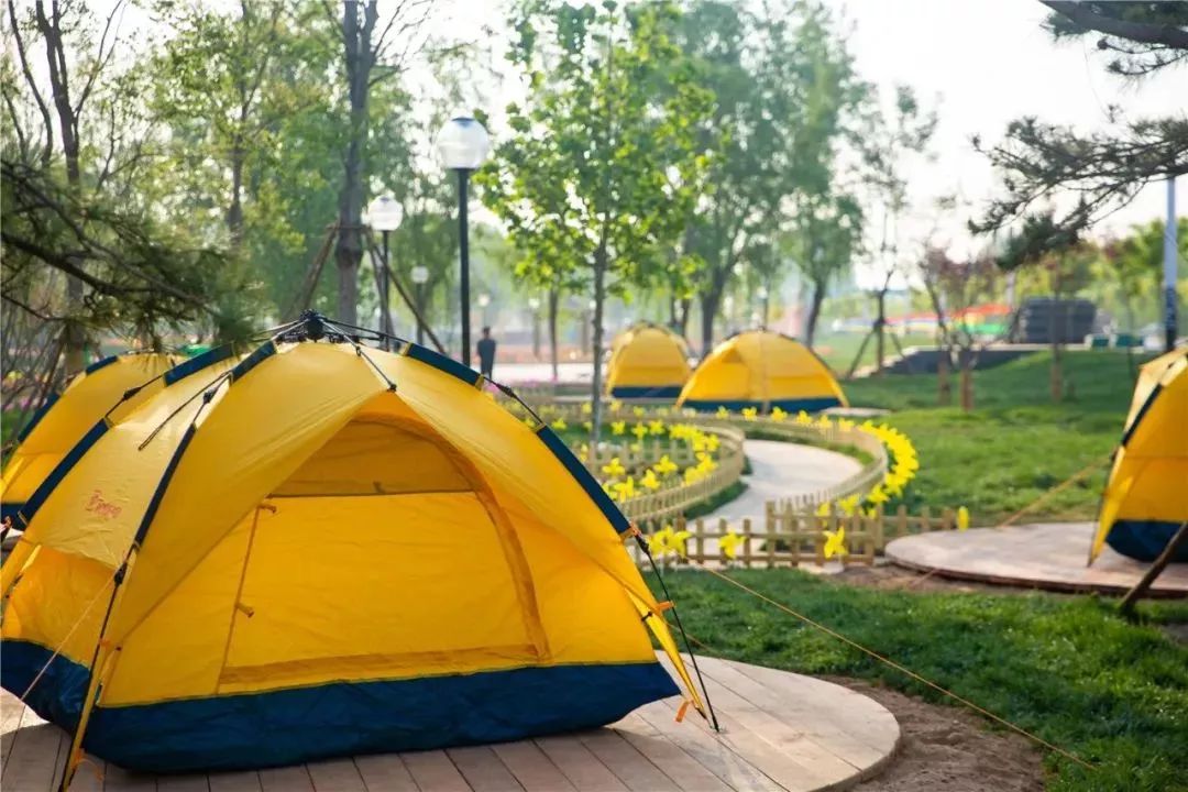 國(guó)內(nèi)有哪些海邊可以露營(yíng)看星星的地方推薦 有篝火、有星空!山東私藏的這些自駕露營(yíng)地景美人少,現(xiàn)在就出發(fā)!