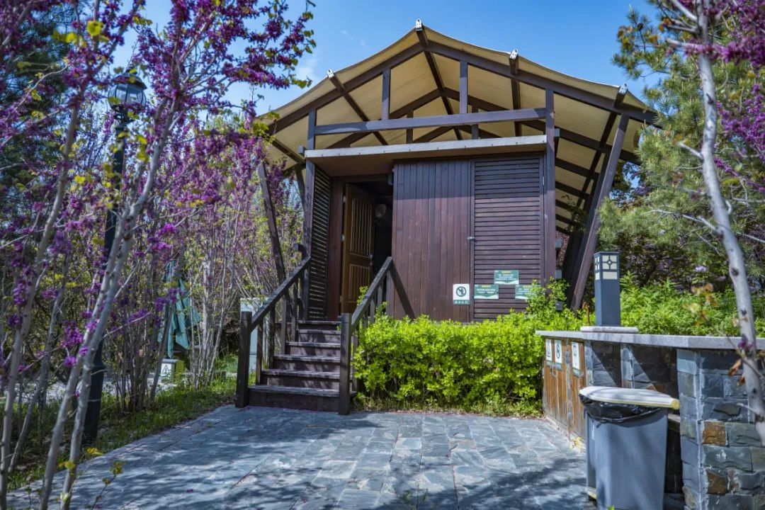 國(guó)內(nèi)有哪些海邊可以露營(yíng)看星星的地方推薦 有篝火、有星空!山東私藏的這些自駕露營(yíng)地景美人少,現(xiàn)在就出發(fā)!