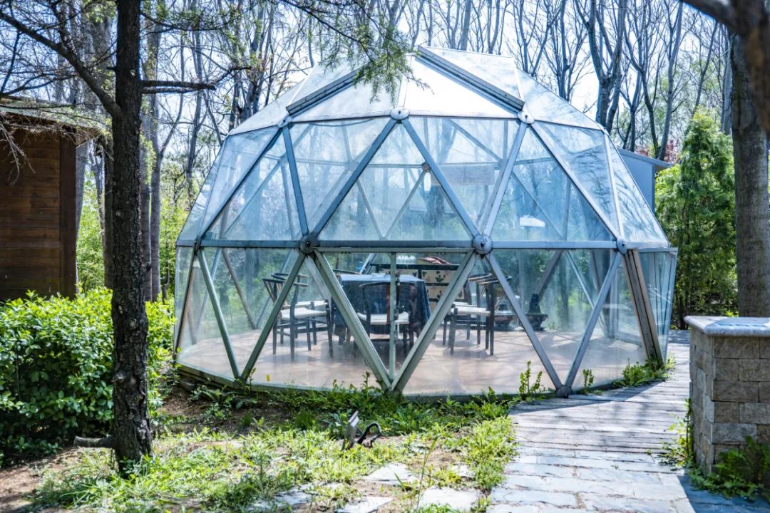 國(guó)內(nèi)有哪些海邊可以露營(yíng)看星星的地方推薦 有篝火、有星空!山東私藏的這些自駕露營(yíng)地景美人少,現(xiàn)在就出發(fā)!