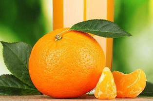 柑橘泌蜜的條件(柑橘蜜流蜜的條件) 柑橘泌蜜的條件(柑橘蜜流蜜的條件)