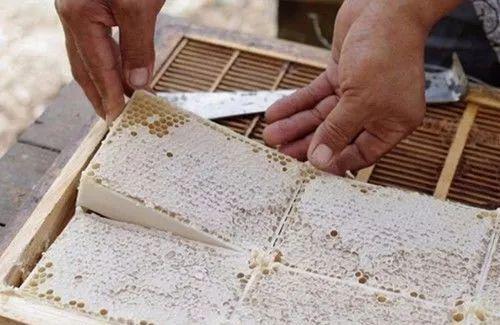 什么是巢蜜繼箱(巢蜜繼箱的組成和使用?方法) 什么是巢蜜繼箱(巢蜜繼箱的組成和使用?方法)