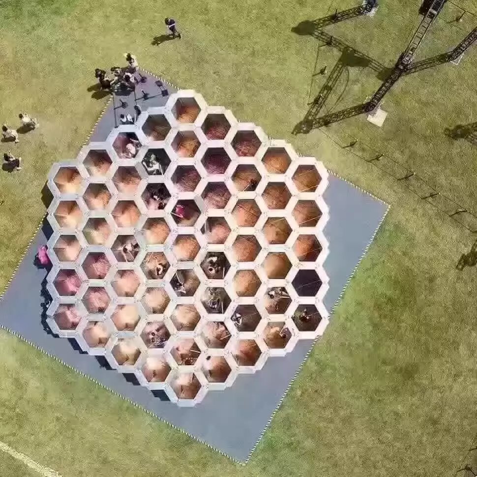 蜜蜂一天新出多少工蜂(一群蜜蜂一天有多少蜜蜂出巢) 蜜蜂一天新出多少工蜂(一群蜜蜂一天有多少蜜蜂出巢)