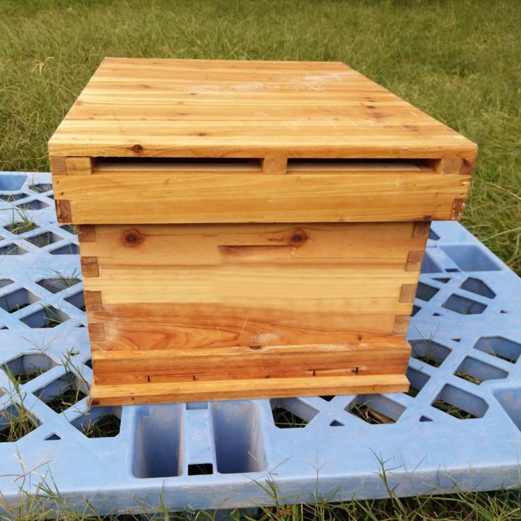 新手養(yǎng)蜂怎樣把蜂引進(jìn)蜂箱(怎樣把蜜蜂引到蜂箱里) 新手養(yǎng)蜂怎樣把蜂引進(jìn)蜂箱(怎樣把蜜蜂引到蜂箱里)