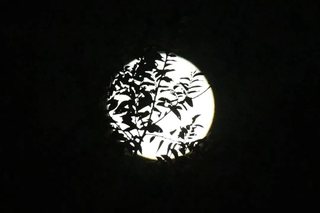 中秋的月亮沒看夠?高清美圖來了 沒看著中秋的月亮?高清美圖來了