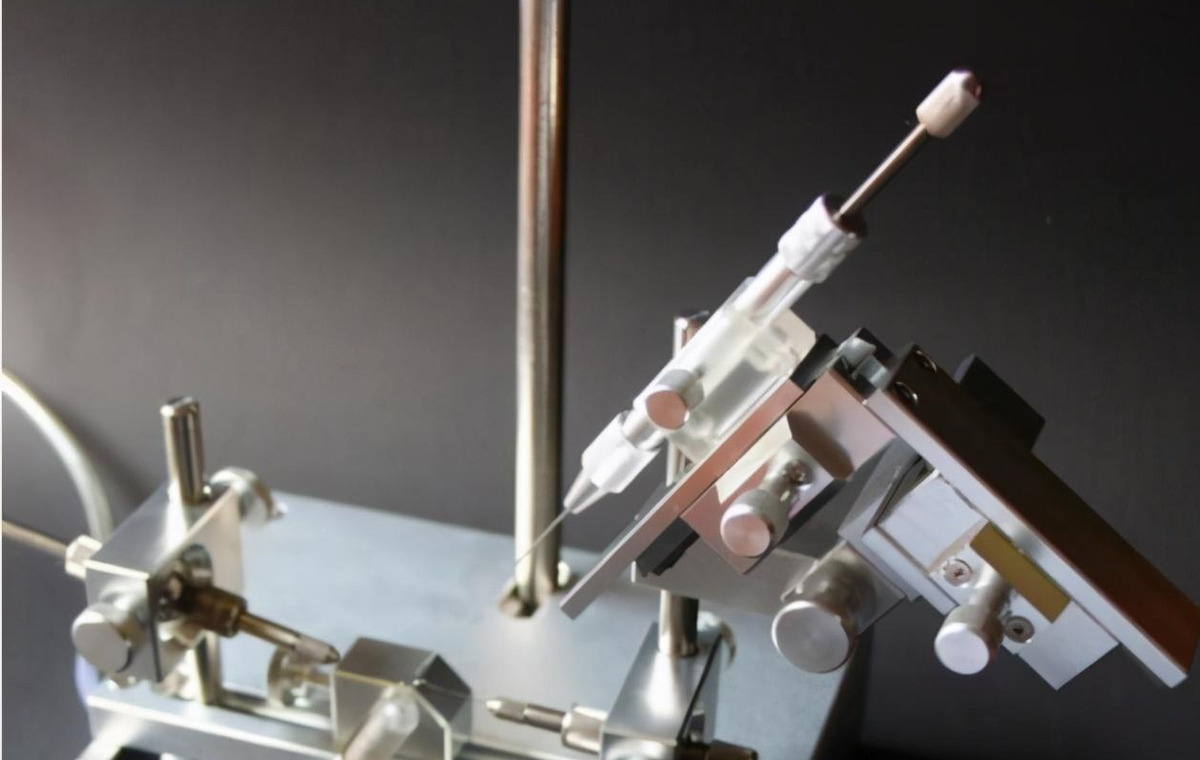 產(chǎn)雄蜂的王如何人工授精（蜂王人工授精技術(shù)視頻）