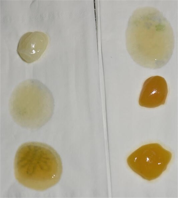 不結(jié)晶的蜂蜜是真的嗎?(教你判斷蜂蜜結(jié)晶是真是假) 不結(jié)晶的蜂蜜是真的嗎?(教你判斷蜂蜜結(jié)晶是真是假)