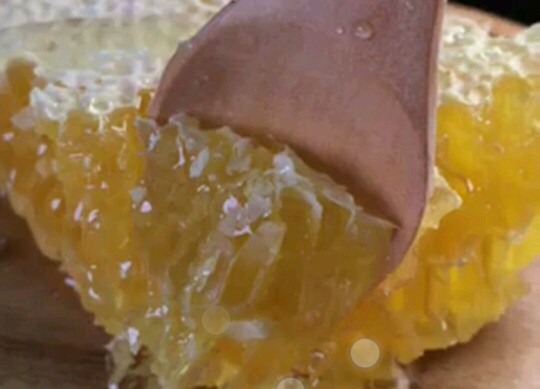 阿壩中蜂當(dāng)?shù)卦鯓釉蕉ㄖ蟹渫琉B(yǎng),如何安全越冬) 阿壩中蜂當(dāng)?shù)卦鯓釉蕉ㄖ蟹渫琉B(yǎng),如何安全越冬)