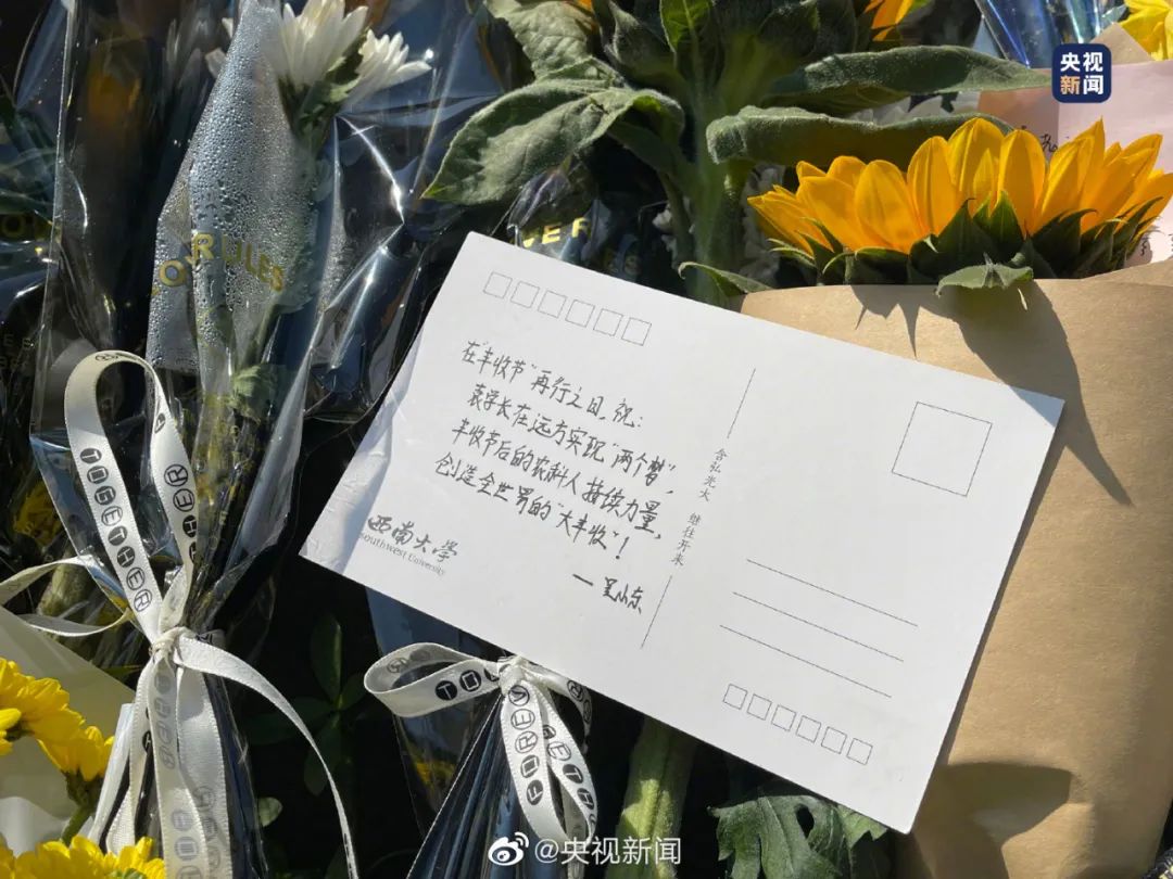 今天,袁隆平雕像前滿是鮮花 今天,袁隆平雕像前滿是鮮花