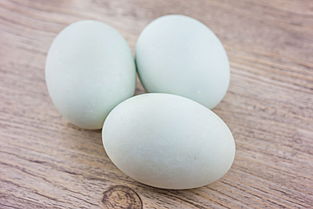 咸鴨蛋不能和什么一起吃(鴨蛋的營養價值和吃鴨蛋的禁忌) 咸鴨蛋不能和什么一起吃(鴨蛋的營養價值和吃鴨蛋的禁忌)