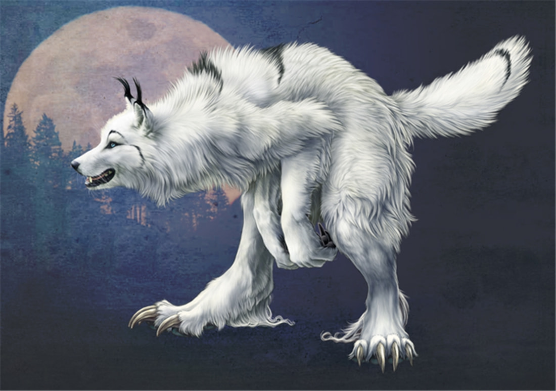 “狽”的原型不是豺,更不是狼獾,為何是狼群中的殘疾狼 長(zhǎng)白山多次出現(xiàn)“狽”,最早記載于西漢,奔跑時(shí)前腿搭在狼身上