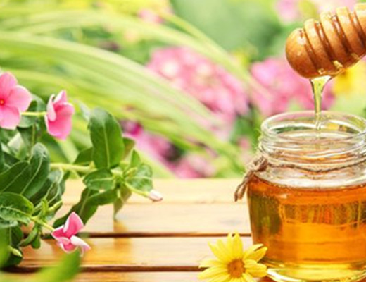 蜜蜂分蜂一般會往哪飛(蜜蜂分蜂后第一次結團時間大約是多久) 蜜蜂分蜂一般會往哪飛(蜜蜂分蜂后第一次結團時間大約是多久)