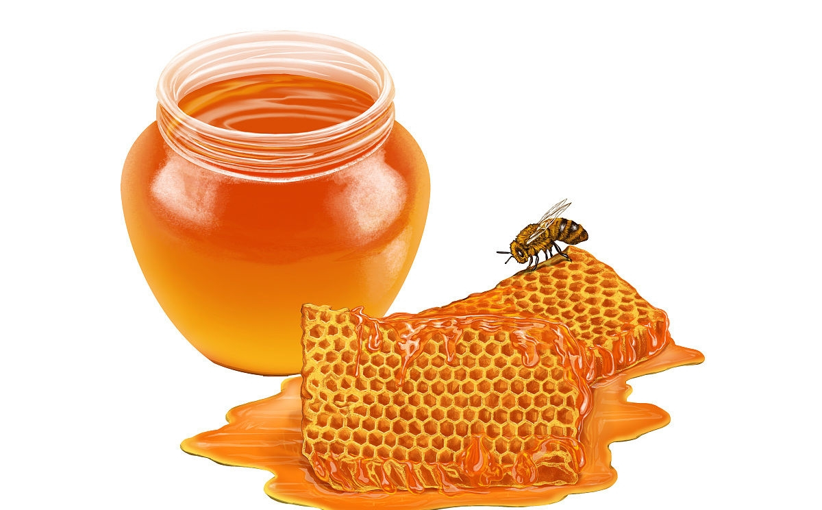 養蜜蜂怎么防止螞蟻(蜂箱怎么防螞蟻最有效的方法) 養蜜蜂怎么防止螞蟻(蜂箱怎么防螞蟻最有效的方法)