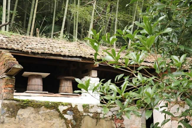 什么是土法養蜂技術？