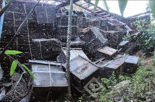 不取蜂蜜對蜜蜂好不好（中蜂養殖，多久取一次蜂蜜）