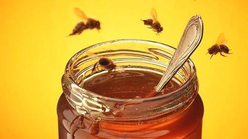 什么是蜂膠(蜂膠――血管清道夫) 什么是蜂膠(蜂膠――血管清道夫)