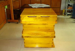 買了一只蜂王和20只工蜂能發(fā)展起來嗎（一只中蜂王配二十只工蜂能帶動發(fā)展）