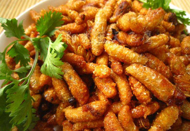 如何區(qū)別蜜蜂蛹和胡蜂蛹？