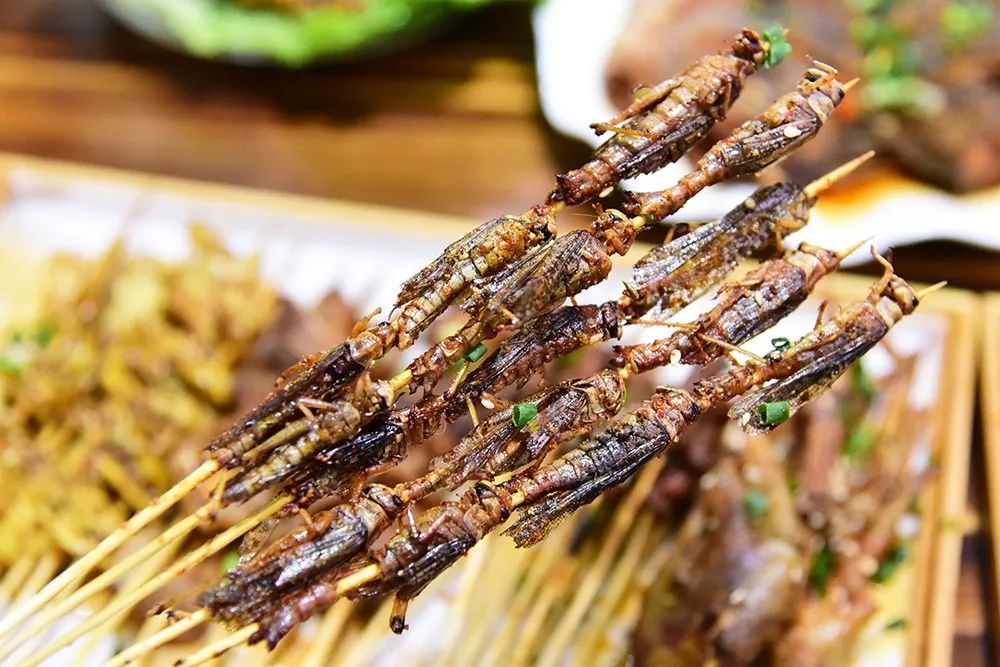 20萬只粉紅椋鳥到達新疆,滅蝗大戰(zhàn)開始,蝗蟲還夠吃嗎 20萬只粉紅椋鳥馳援新疆滅蝗,護40萬畝草場!蝗災(zāi)到底有多可怕?